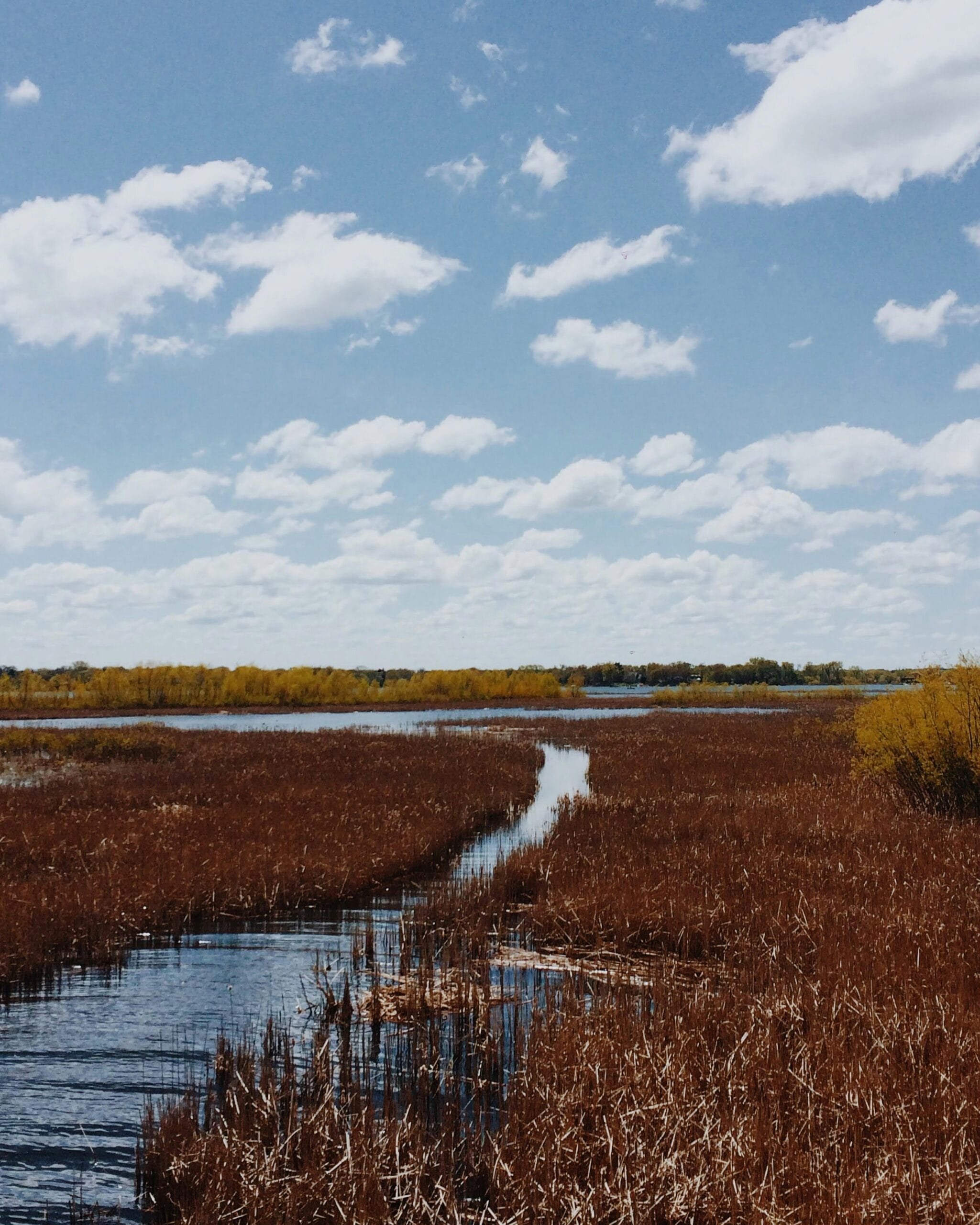 Historical Echoes: White Bear Lake and Its Connection to the Civil War