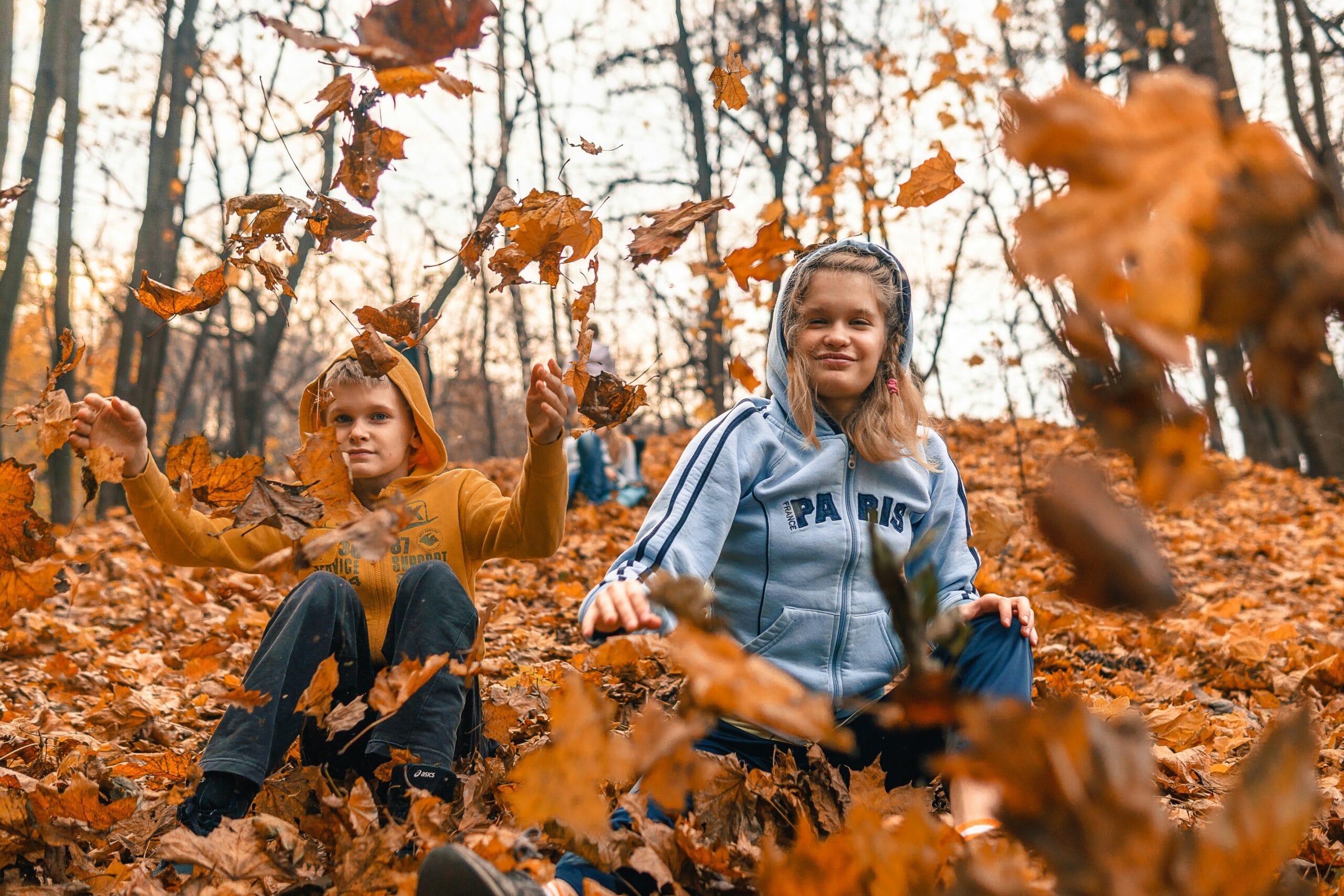 woman in gray and blue hoodie sitting on dried leaves during daytime